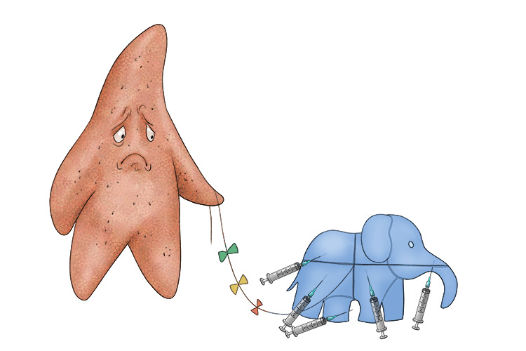 The elephant shaped kite was pierced by a number of hypodermic (echinoderm) needles, and no longer flew, much to the starfish's disappointment. 